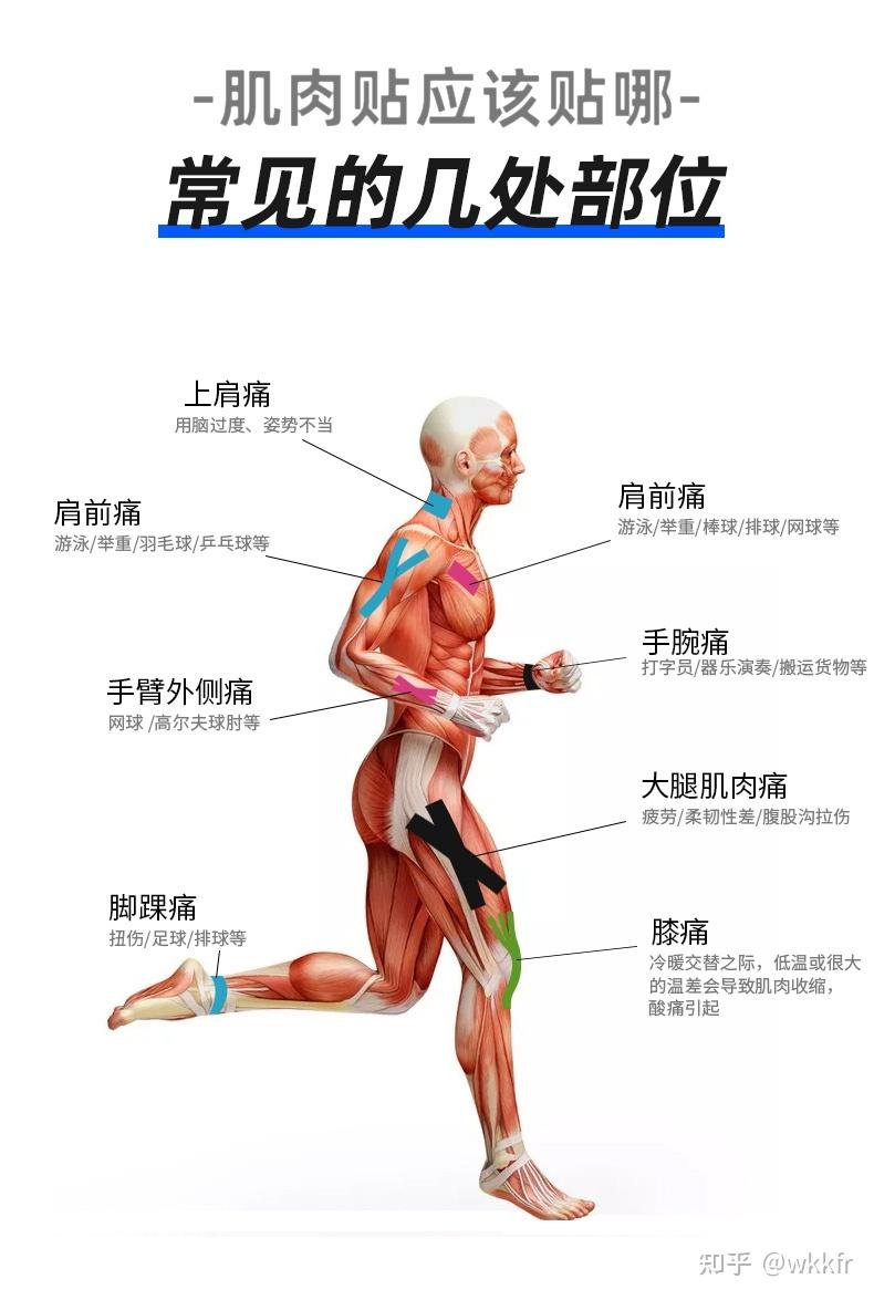 跟着赛事游天津丨春日津城跑起来(图1)