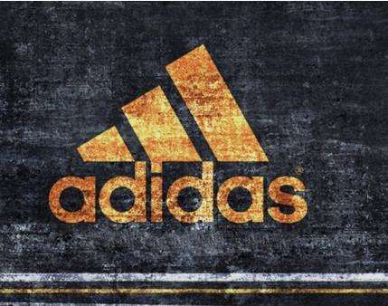 2024-2029年中國云健身行業前景預測與市場調查研究報告(图1)