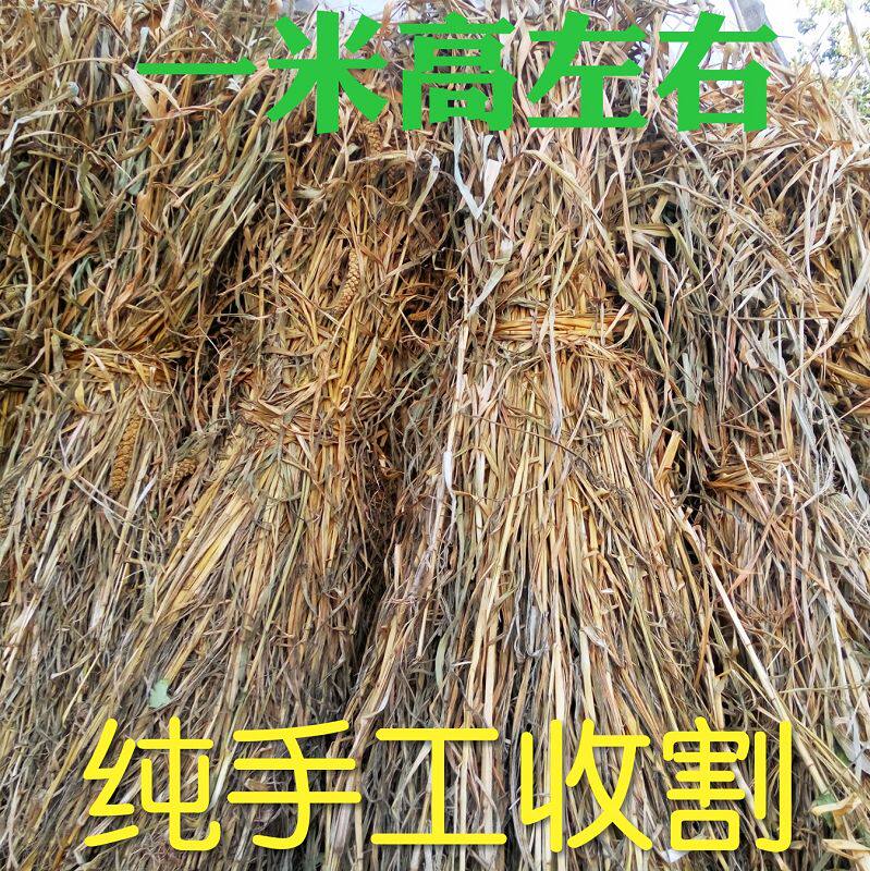 杆趣二手球杆(图1)