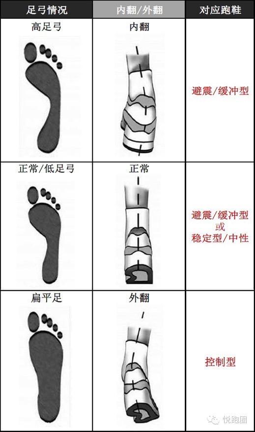 最新更新_智能设备_运动_汽车_智慧出行频道_天极网(图1)